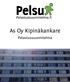 As Oy Kipinäkankare. Pelastussuunnitelma