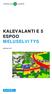 KALEVALANTIE 5 ESPOO MELUSELVITYS