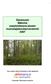 Äänekoski Mämme osayleiskaava-alueen muinaisjäännösinventointi 2007