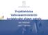 Projektiehdotus Valtiovarainministeriön kuntatalouden ohjaus -palvelu. Jani Heikkinen JulkICT-toiminto