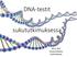 DNA-testit. sukututkimuksessa Keravan kirjasto Paula Päivinen