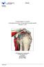 Fysioterapeutin ohjeita Kiertäjäkalvosimen korjausleikkauspotilaalle (Rotator cuff)