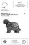 BERGAMASCO 1/6 (CANE DA PASTORE BERGAMASCO) Alkuperämaa: Italia