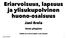 Eriarvoisuus, lapsuus ja ylisukupolvinen huono-osaisuus