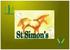 St Simon s Alfa-block Ravinteikas sinimailaskuutio täydennysrehuksi kotieläimille