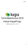 Liite 7A. Toimintakertomus 2018 Kehys-Kepa/Fingo