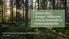 Säästetään Kauppi-Niihaman metsät luonnolle ja virkistyskäytölle. Luontotyyppien vertaissuunnitteluluonnos