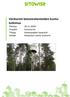 Vesitornin betonirakenteiden kuntotutkimus. Päiväys Projekti Kuntoarvio Tilaaja Kankaanpään kaupunki Kohde Keskustan vanha vesitorni