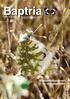 Vol , nro 2. Suomen Perhostutkijain Seura ry Lepidopterologiska Sällskapet i Finland rf. Suurperhoshavainnot ja vaellukset 2009 ISSN