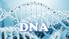 DNA (deoksiribonukleiinihappo)